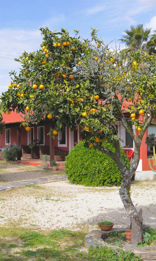 Monte Da Xica - Somente Adultos Konuk evi Formia Dış mekan fotoğraf